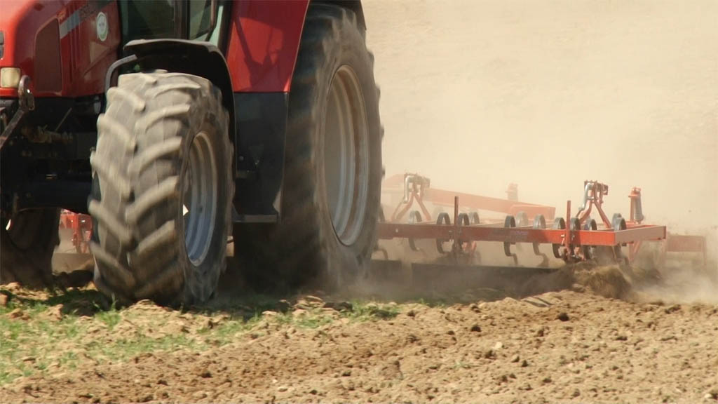 Foto: PrtScr Televizija Valjevo Plus