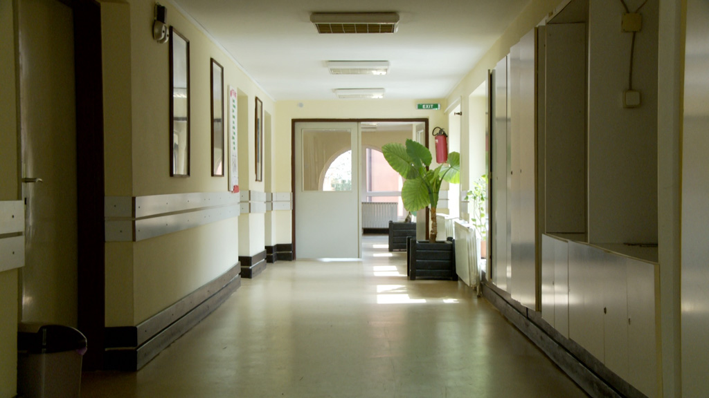 Foto: PrtScr Televizija Valjevo Plus