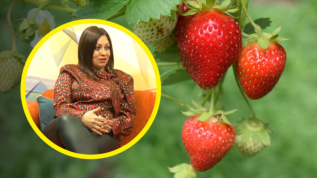 Foto: PrtScr Televizija Valjevo Plus