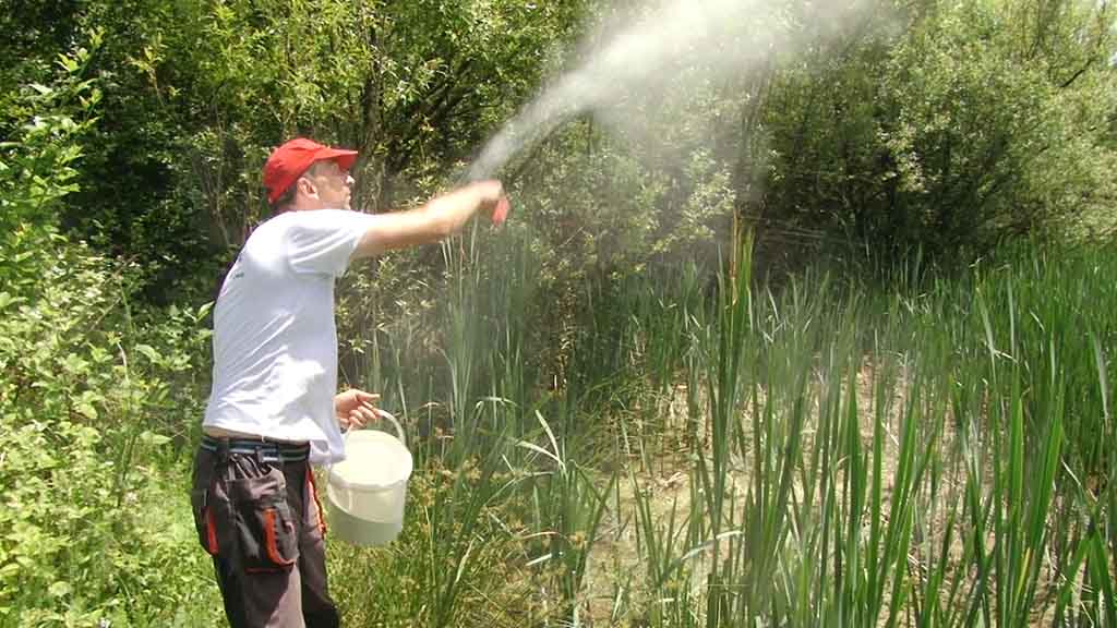 Foto: PrtScr Televizija Valjevo Plus