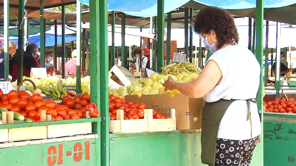 Foto: PrtScr Televizija Valjevo Plus