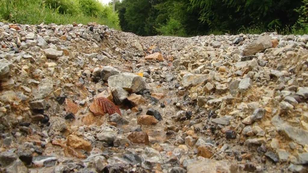 Foto: PrtScr Televizija Valjevo Plus