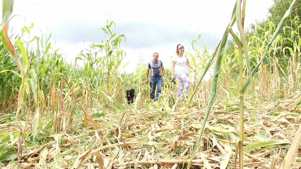 Foto: PrtScr Televizija Valjevo Plus