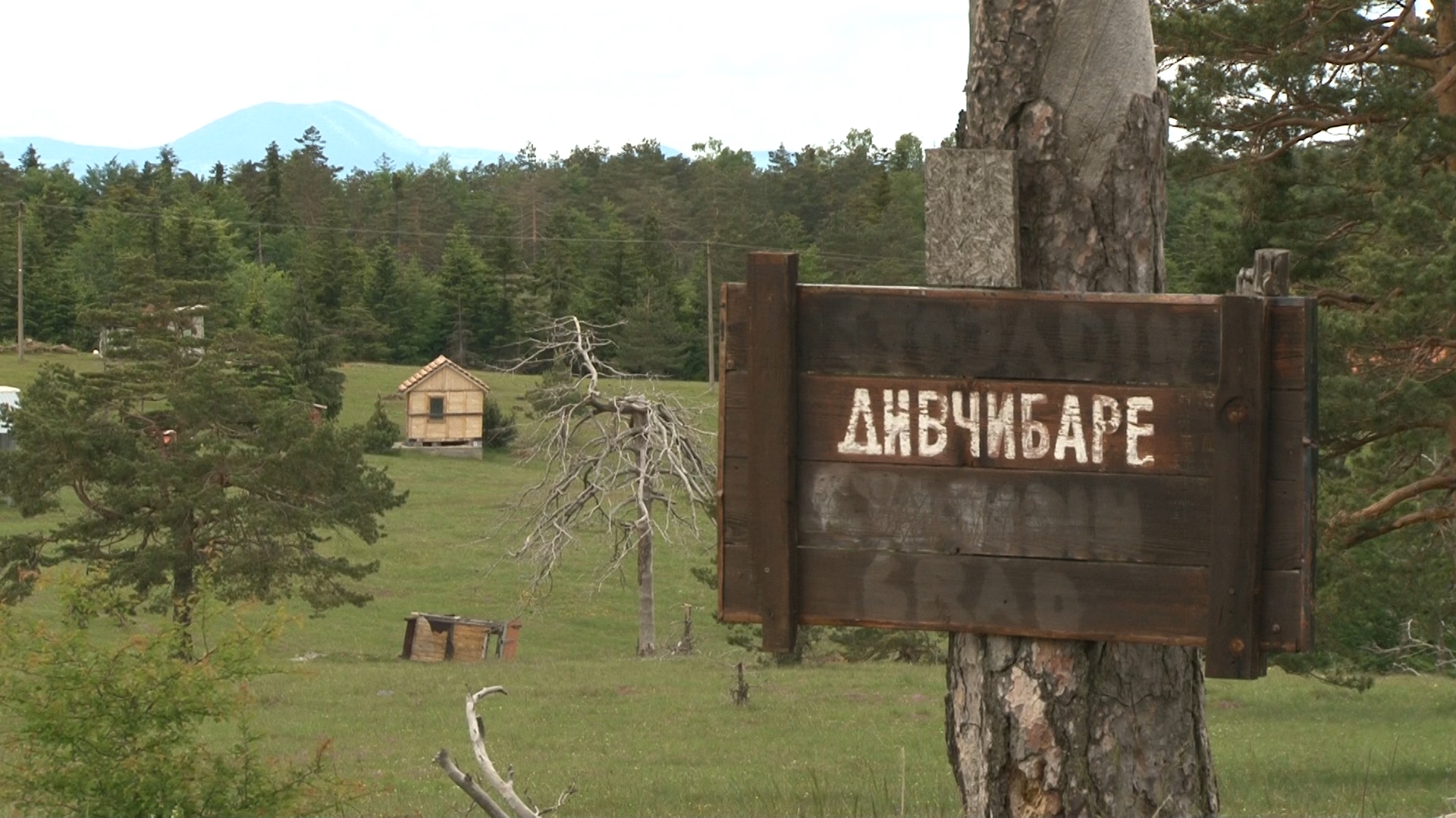 Foto: PrtScr Televizija Valjevo Plus