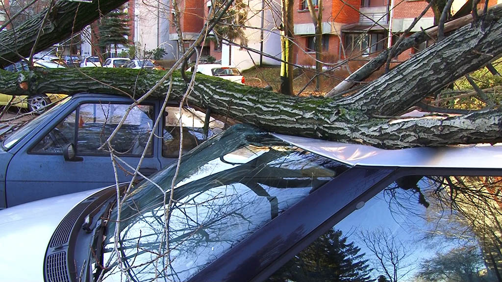 Foto: PrtScr Televizija Valjevo Plus