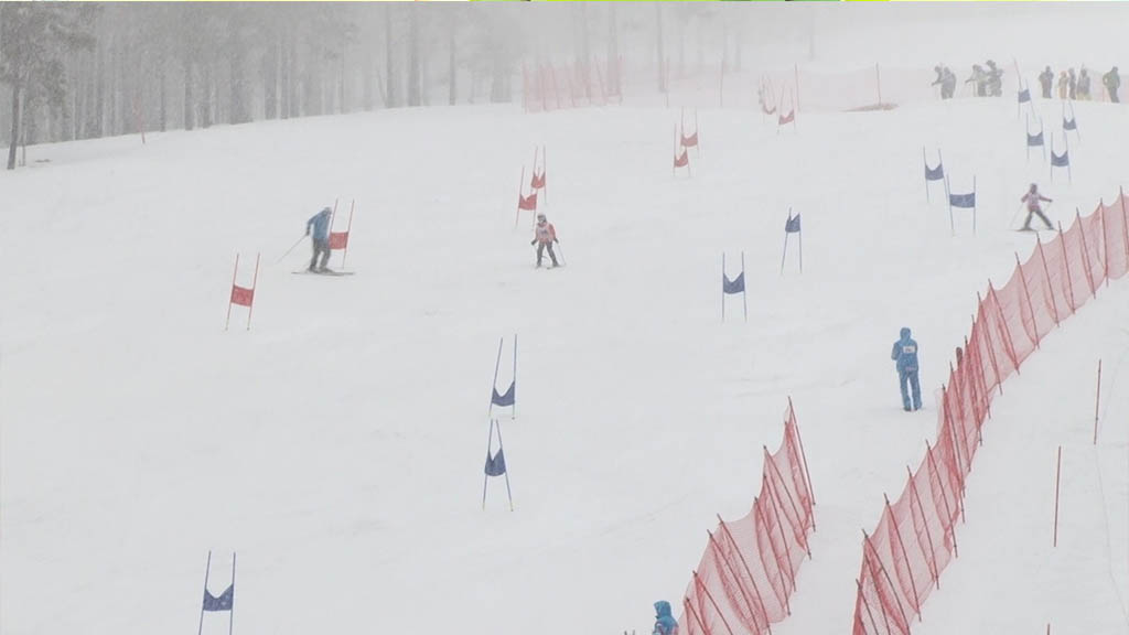 Foto: PrtScr Televizija Valjevo Plus