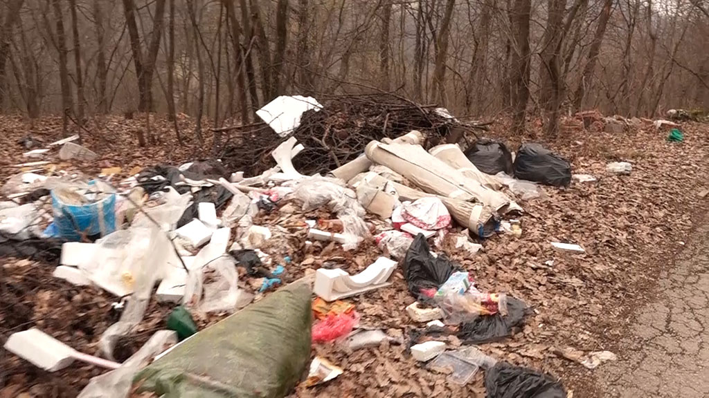 Foto: PrtScr - Televizija Valjevo plus